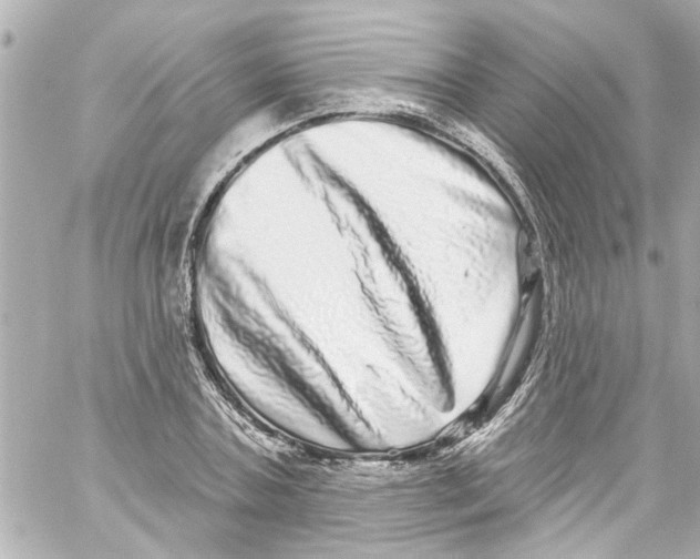 X0000059100787200511041912