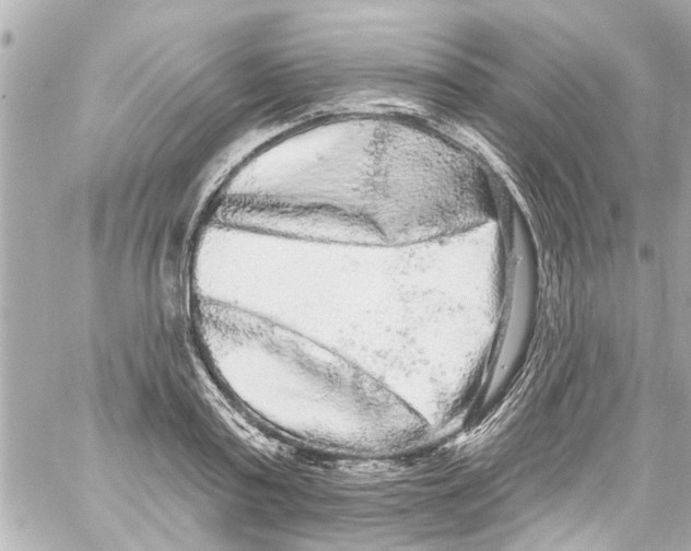X0000059100795200511041912
