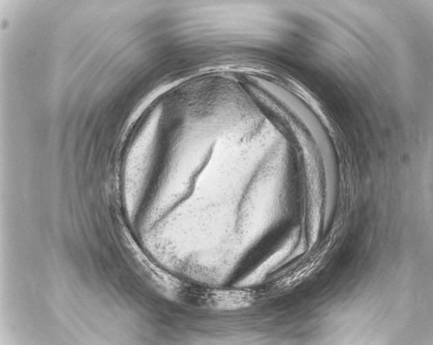 X0000059100803200511041912