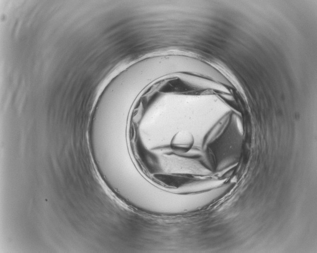 X0000059100813200511041912