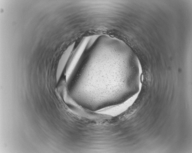 X0000059100818200511041911