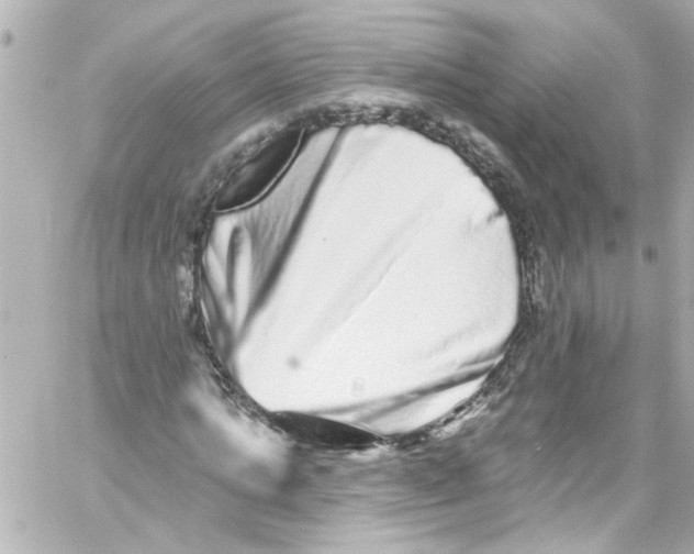 X0000059100821200511041911