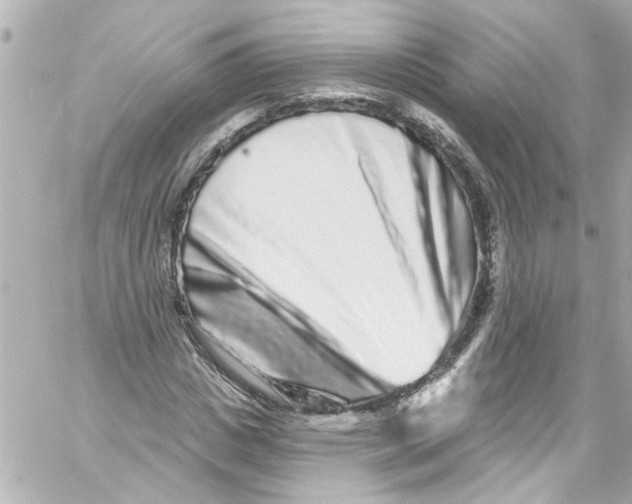 X0000059100825200511041911
