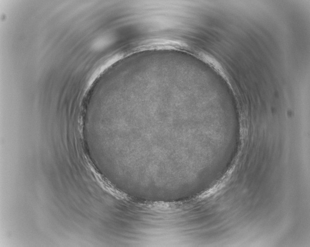 X0000059100827200511041911