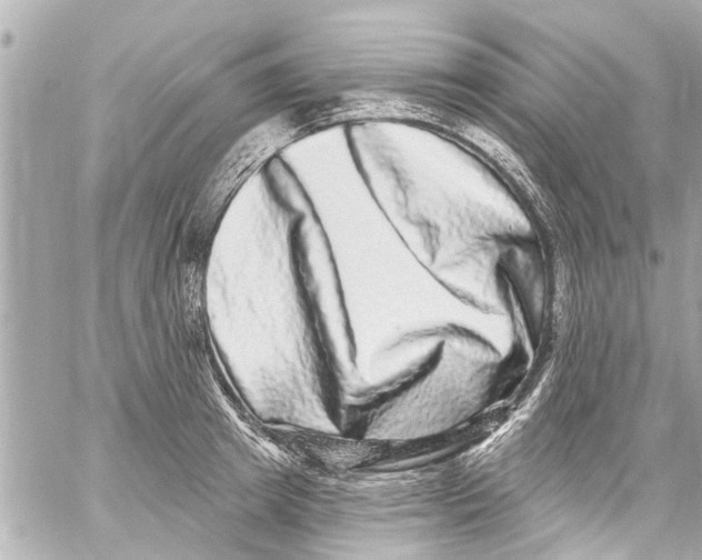 X0000059100849200511041911