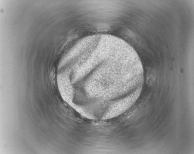 X0000059100866200511041911