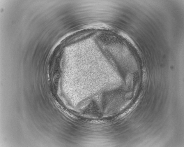 X0000059100923200511041909
