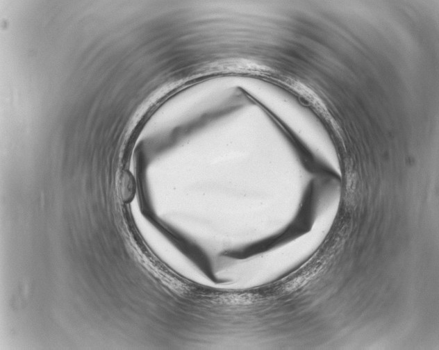 X0000059100947200511041910