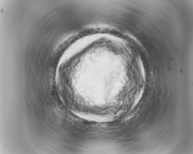 X0000059100967200511041909