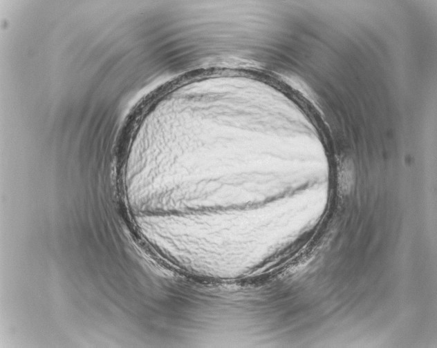 X0000059100971200511041909