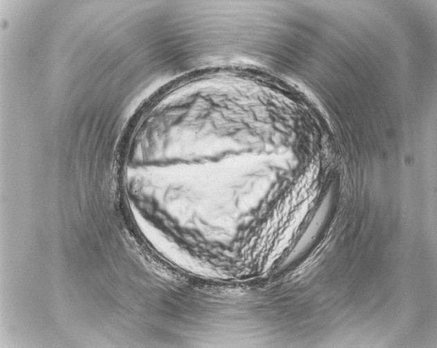 X0000059100975200511041909