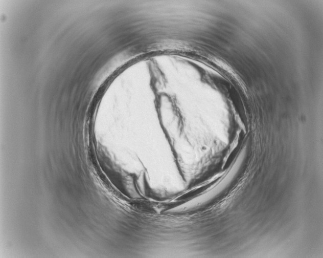 X0000059100983200511041909