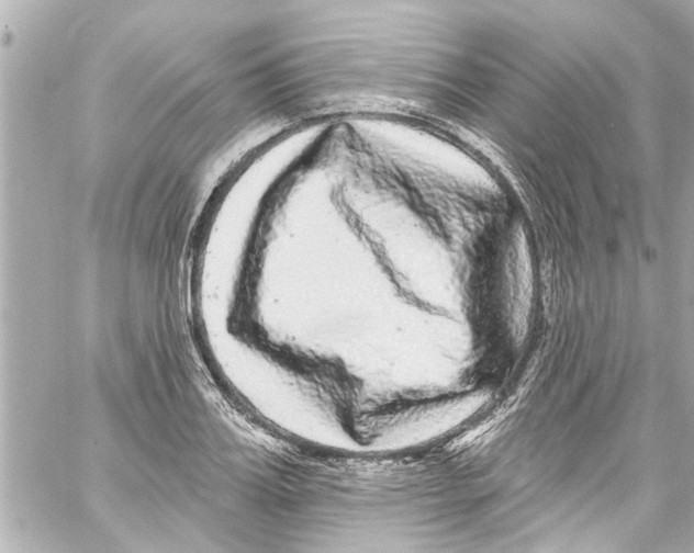 X0000059100987200511041909