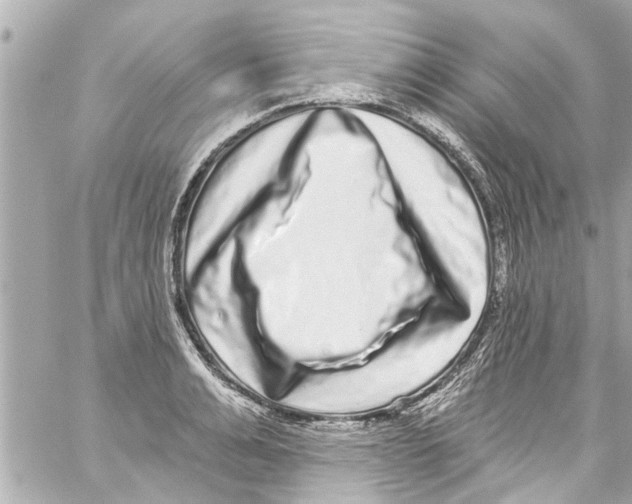 X0000059100991200511041909