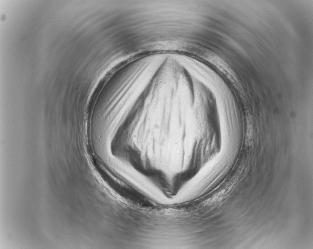 X0000059100992200511041909
