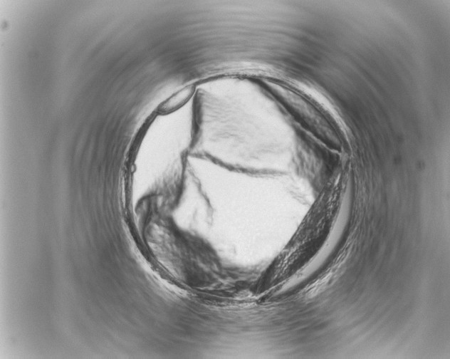 X0000059100999200511041909