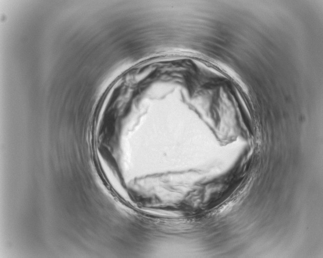 X0000059101007200511041908