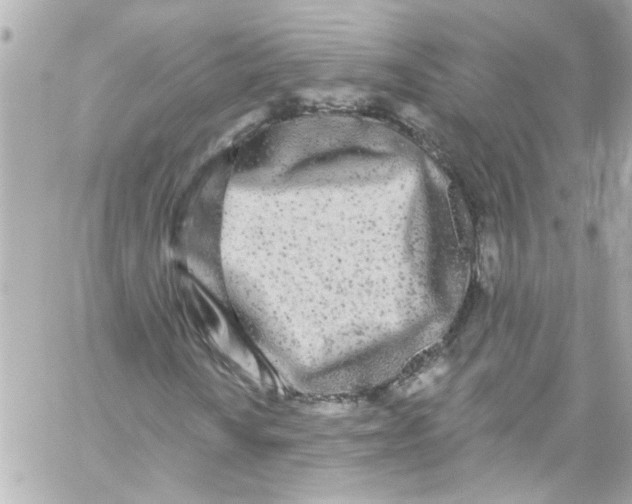 X0000059101010200511041908