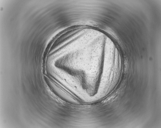 X0000059101020200511041908