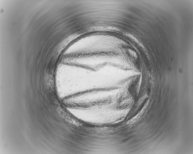 X0000059101025200511041908