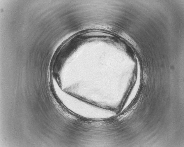 X0000059101028200511041908