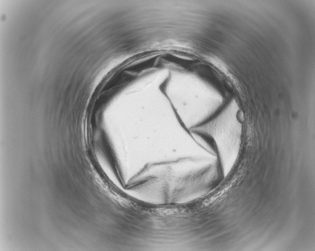X0000059101032200511041908