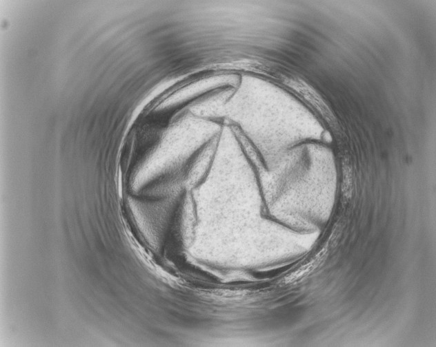 X0000059101036200511041908