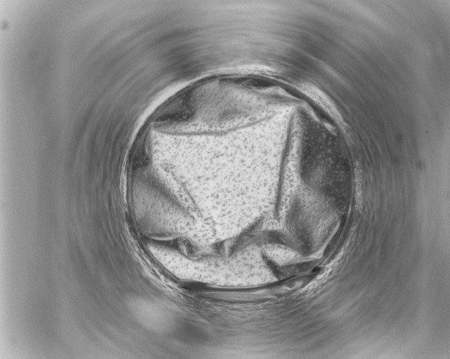 X0000059101044200511041908