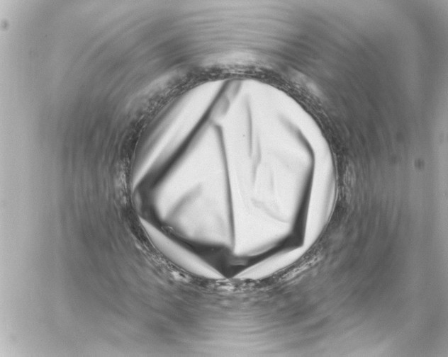 X0000059101062200511041907