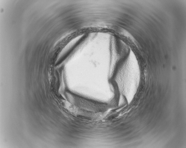 X0000059101064200511041907