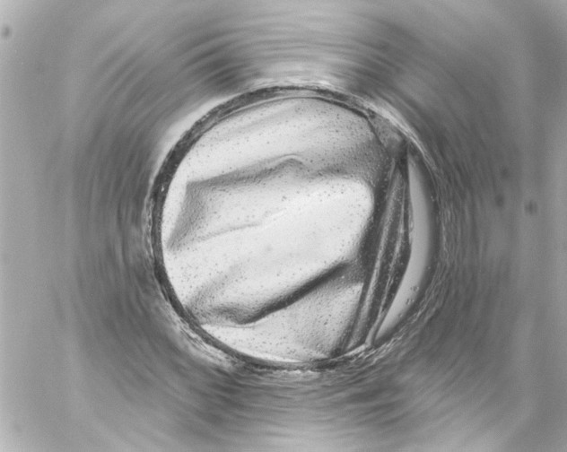X0000059101068200511041907