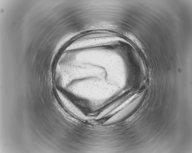 X0000059101072200511041907