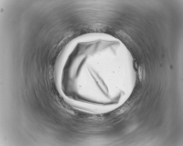 X0000059101107200511041906