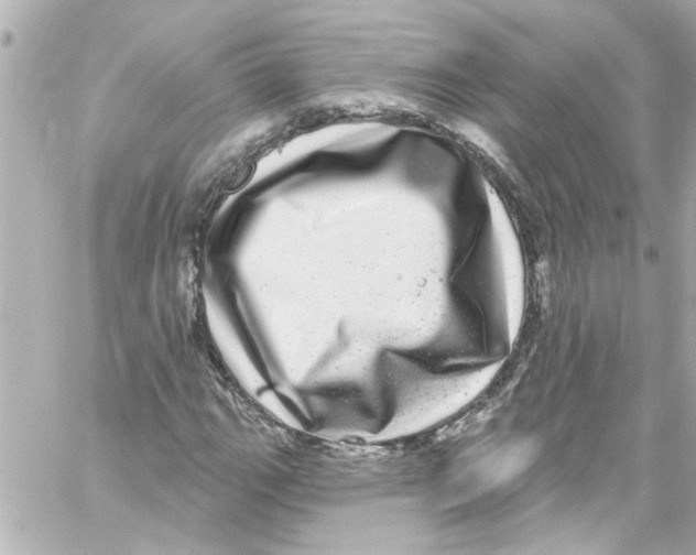 X0000059101111200511041906