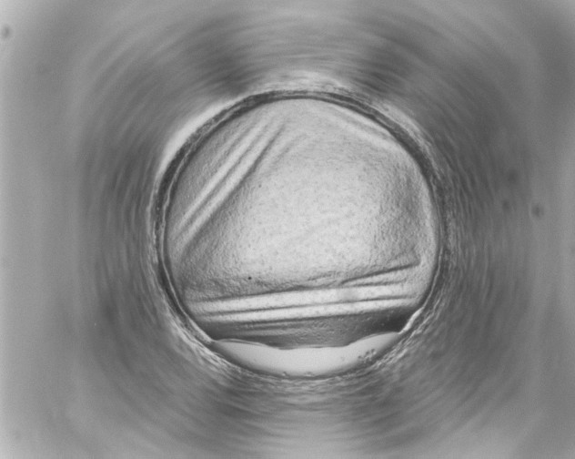 X0000059101120200511041906