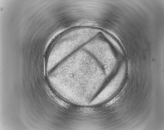 X0000059101123200511041906
