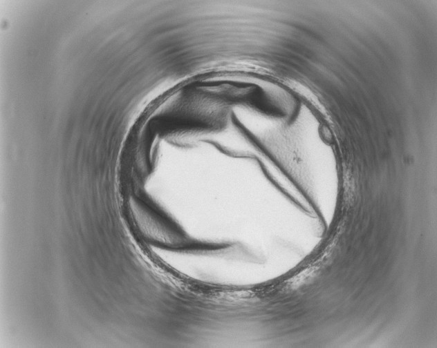X0000059101133200511041906