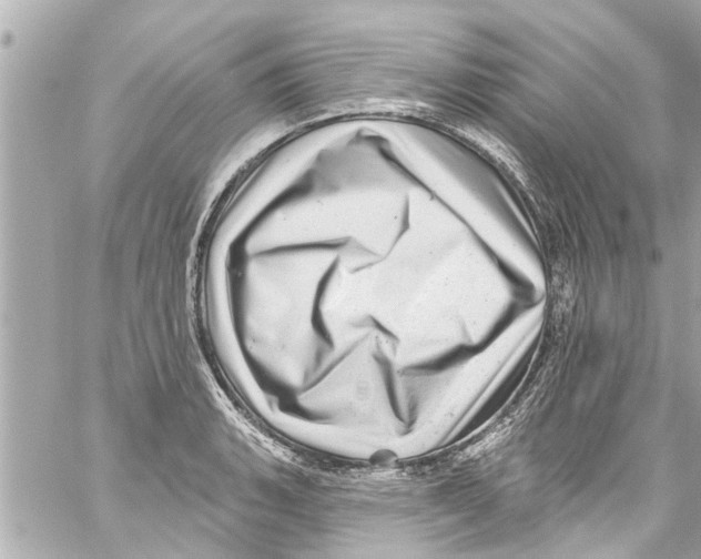 X0000059101135200511041906