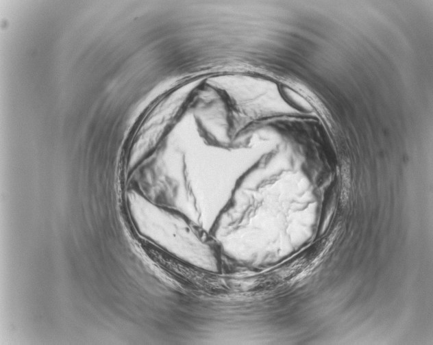 X0000059101142200511041907