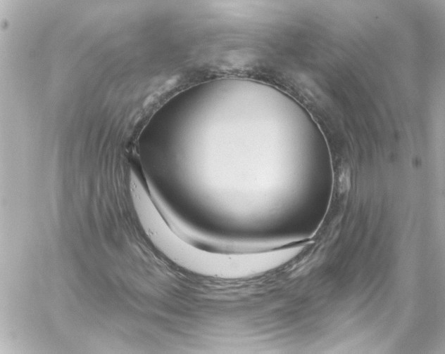 X0000059101156200511041906