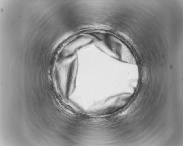 X0000059101163200511041906