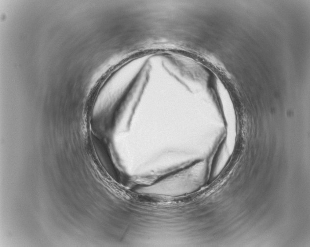 X0000059101167200511041906