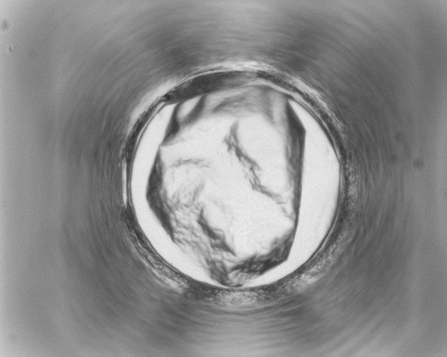 X0000059101171200511041906