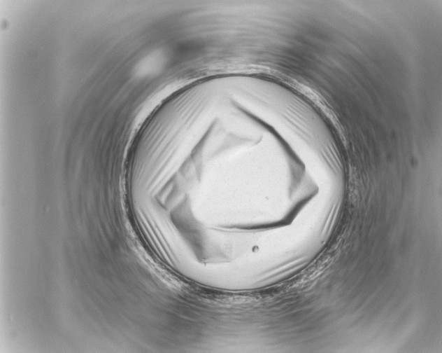 X0000059101187200511041905