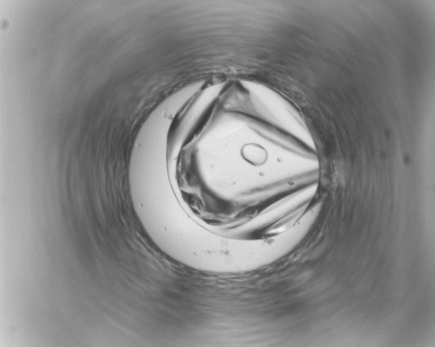 X0000059101202200511041904