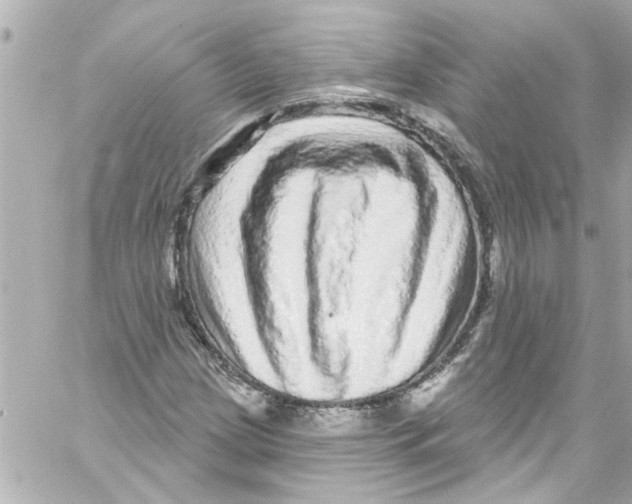 X0000059101209200511041904