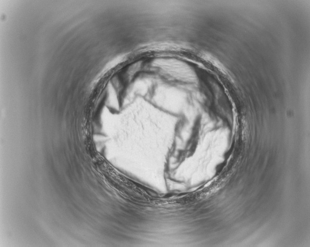 X0000059101213200511041904