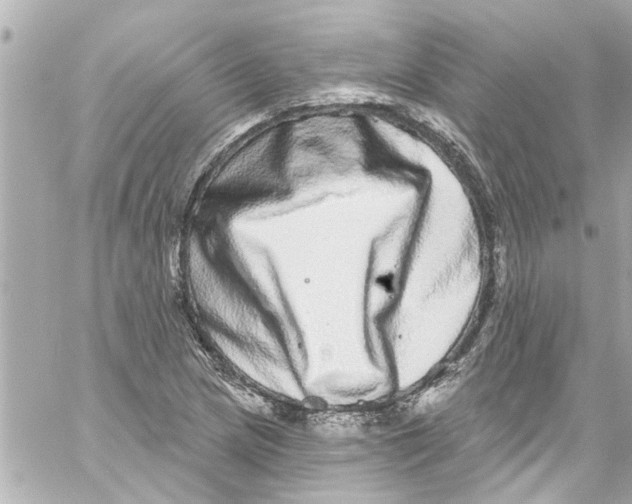 X0000059101217200511041904