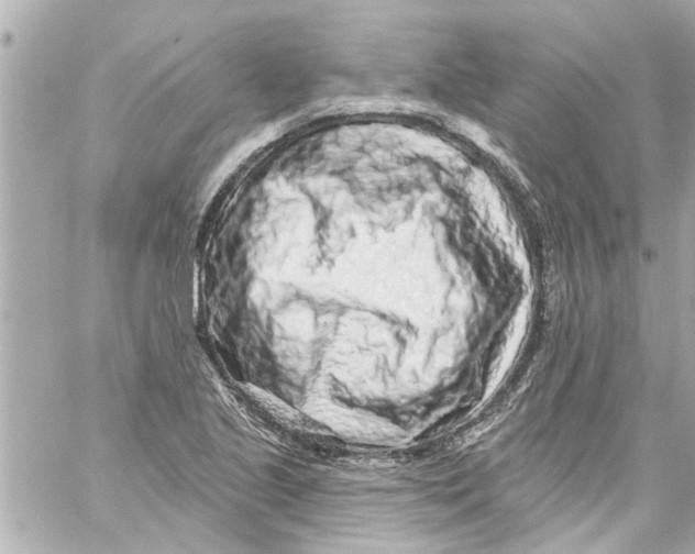 X0000059101221200511041905