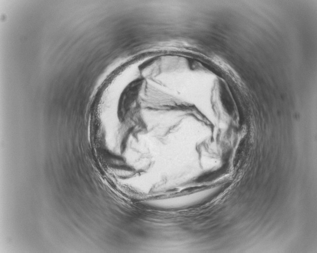 X0000059101224200511041905